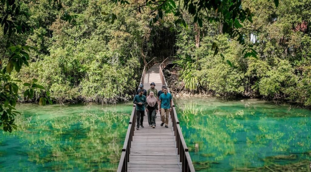 Habitat Ubur-ubur Pulau Kakaban Berau Harus Diprioritaskan