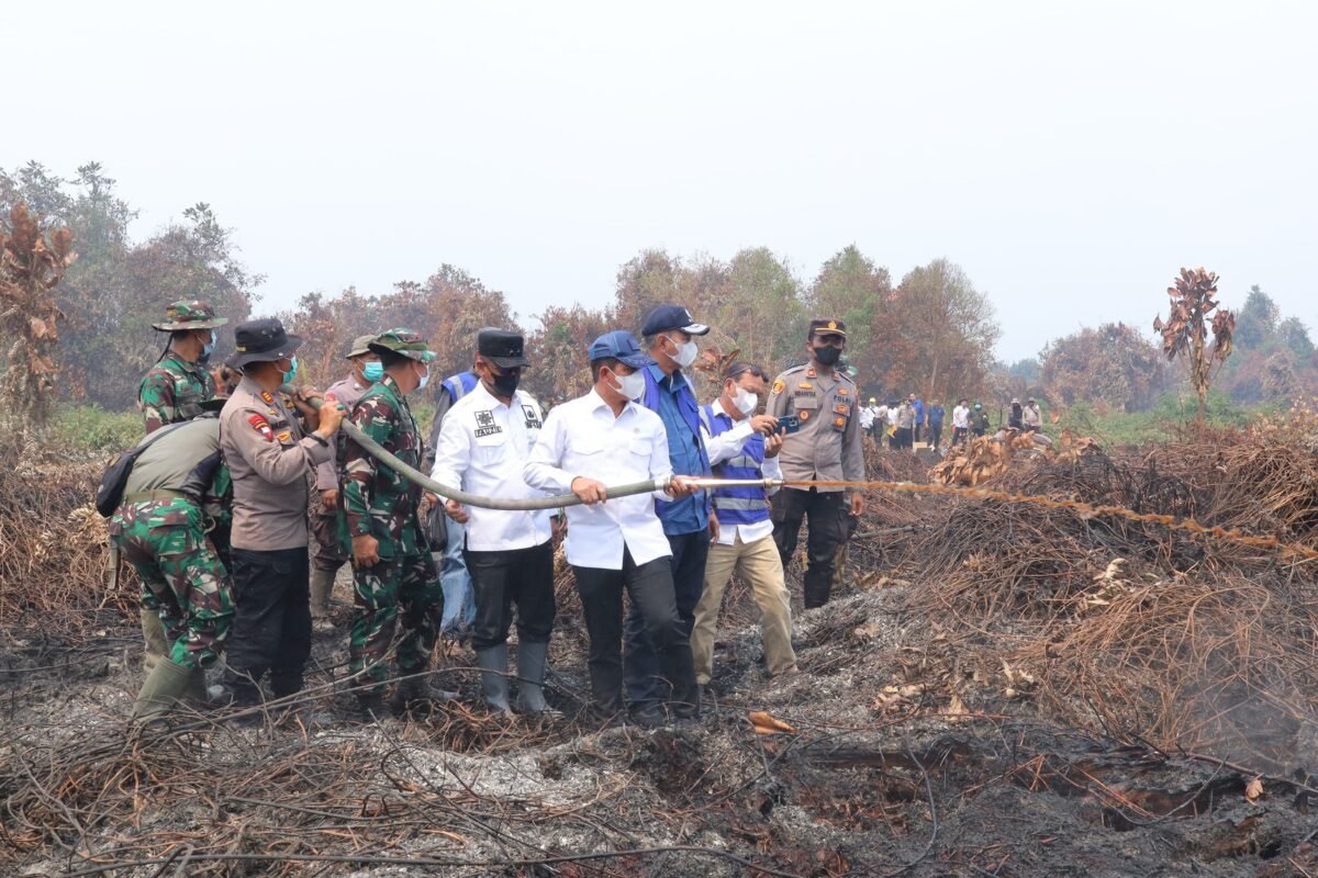 Menteri LH Tinjau Langsung Karhutla Rokan Hilir, Apresiasi Langkah Pemda dan Dorong Percepatan Pemadaman