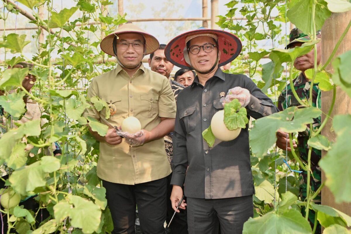 Mendes PDT Panen Melon dan Telur Ayam yang Dibangun Gunakan Dana Desa