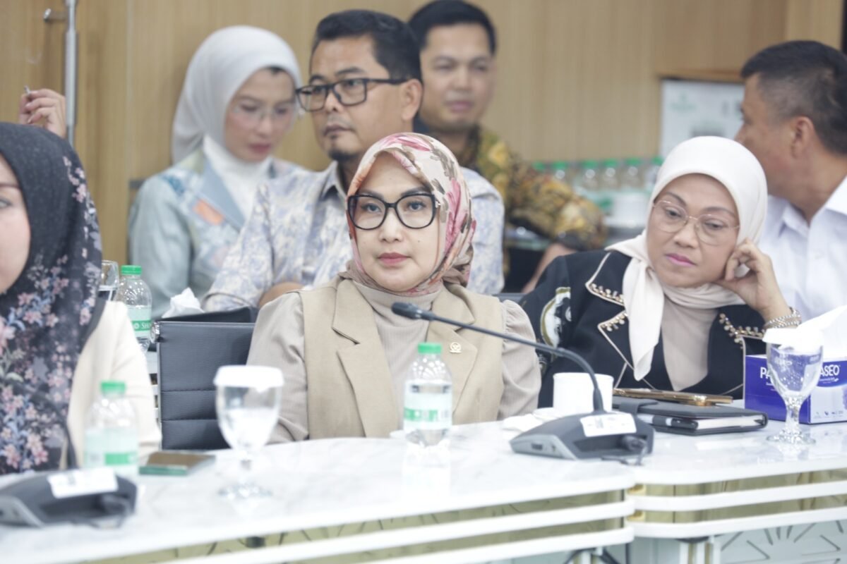 BBM Langka, DPR Desak Pemerintah Perbaiki Distribusi