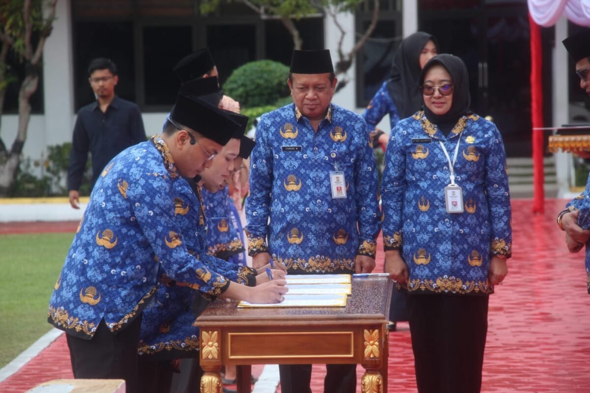 Honorer Tak Lolos ASN Masih Punya Peluang, Tapi Hanya yang Terdata