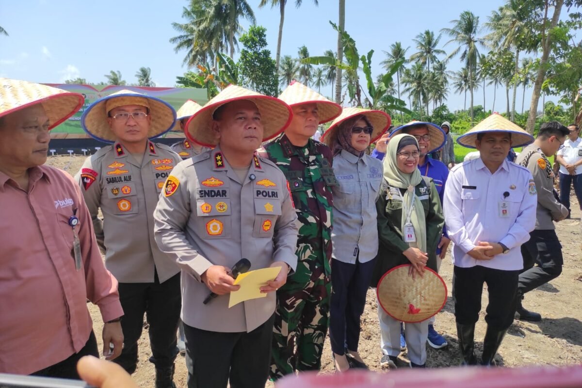 Dorong Swasembada Pangan, Polda Kaltim Tanam Jagung Serentak di Kuartal IV 2025
