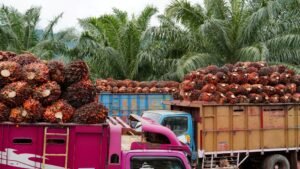 Indonesia mendesak Uni Eropa segera mematuhi putusan WTO terkait sengketa sawit DS593 demi pemulihan akses pasar.