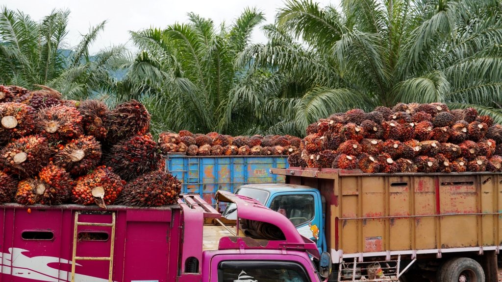 Indonesia mendesak Uni Eropa segera mematuhi putusan WTO terkait sengketa sawit DS593 demi pemulihan akses pasar.