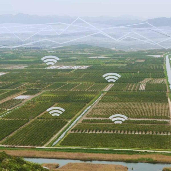 Diam-Diam Dikuasai Miliarder, Kenapa Lahan Pertanian Jadi Rebutan Dunia?