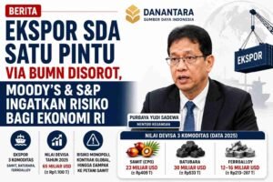 pt dsi danantara