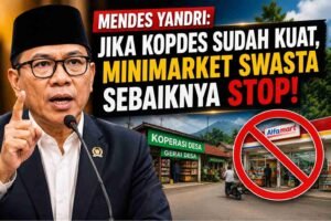 kopdes