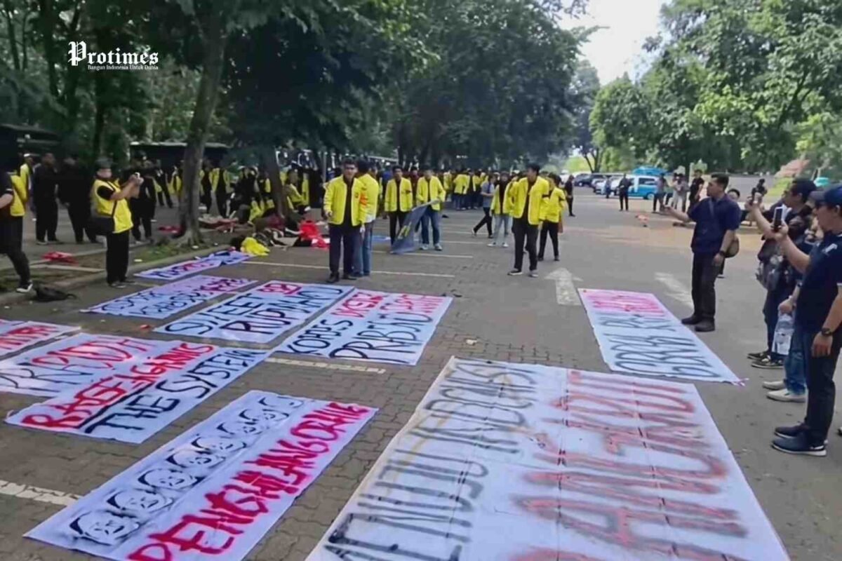 demo mbg