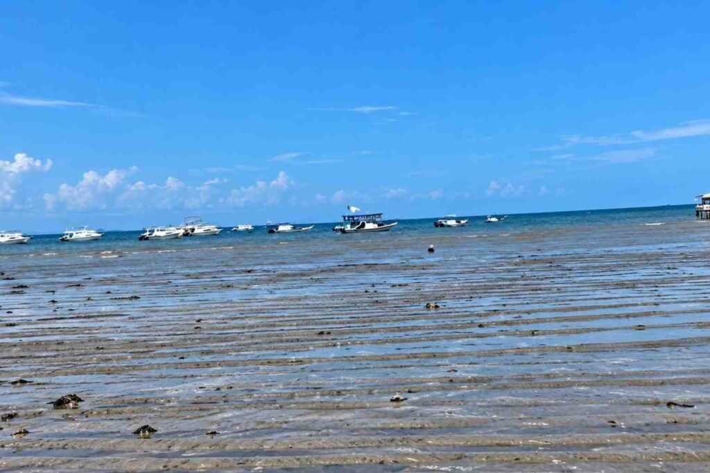 Aktivitas Gunung Anak Krakatau di Selat Sunda setelah erupsi dan pemantauan kondisi laut oleh BMKG untuk mengantisipasi potensi tsunami.