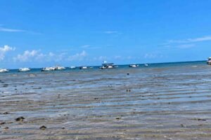 Aktivitas Gunung Anak Krakatau di Selat Sunda setelah erupsi dan pemantauan kondisi laut oleh BMKG untuk mengantisipasi potensi tsunami.