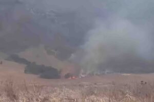 Kebakaran melanda kawasan padang ilalang kering di Taman Nasional Bromo Tengger Semeru, dengan kobaran api dan kepulan asap tebal terlihat di tengah kawasan.