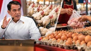Harga ayam dan telur di tingkat peternak dan konsumen menjadi perhatian Kementerian Pertanian pada Oktober 2026.