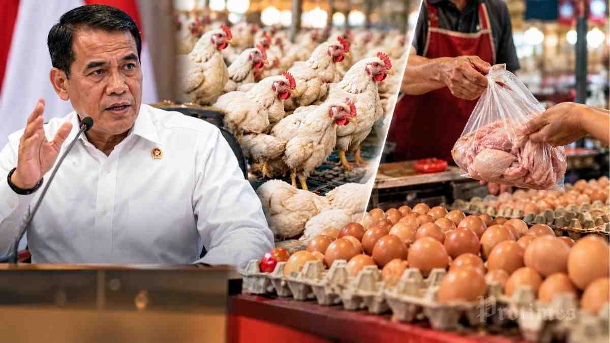 Harga ayam dan telur di tingkat peternak dan konsumen menjadi perhatian Kementerian Pertanian pada Oktober 2026.